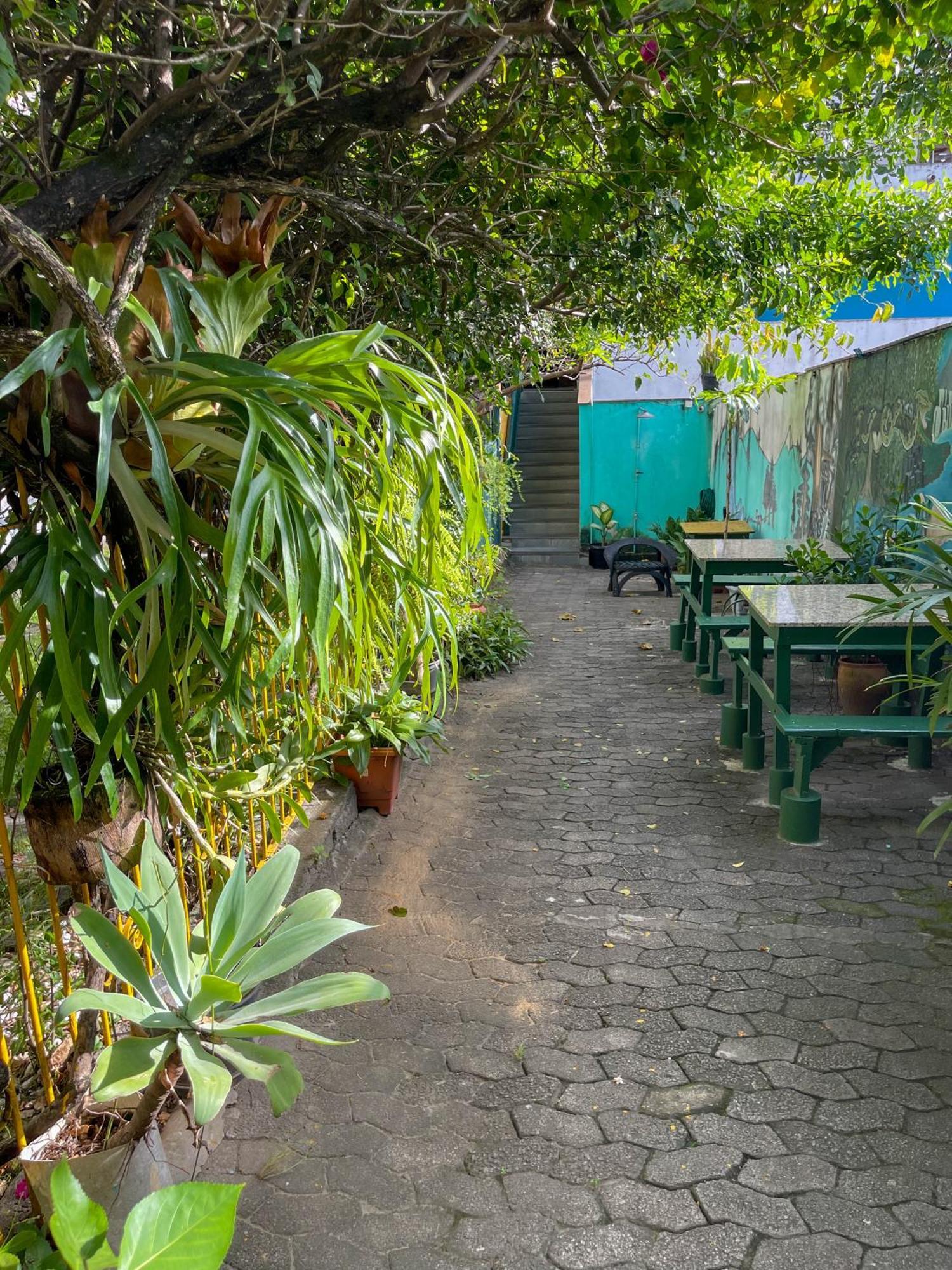 Onca Da Praia Hostel ヴィトーリア エクステリア 写真
