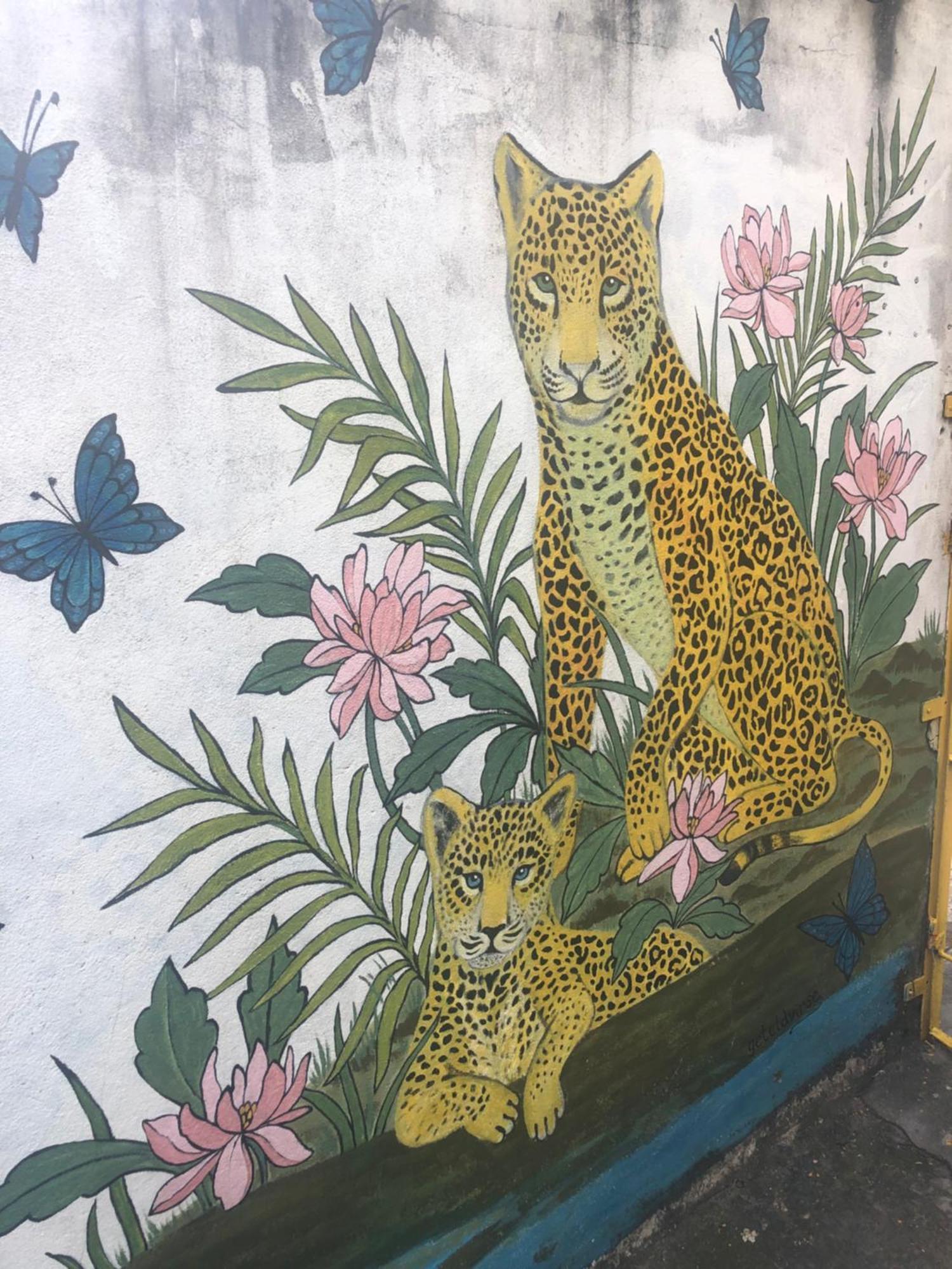 Onca Da Praia Hostel ヴィトーリア エクステリア 写真